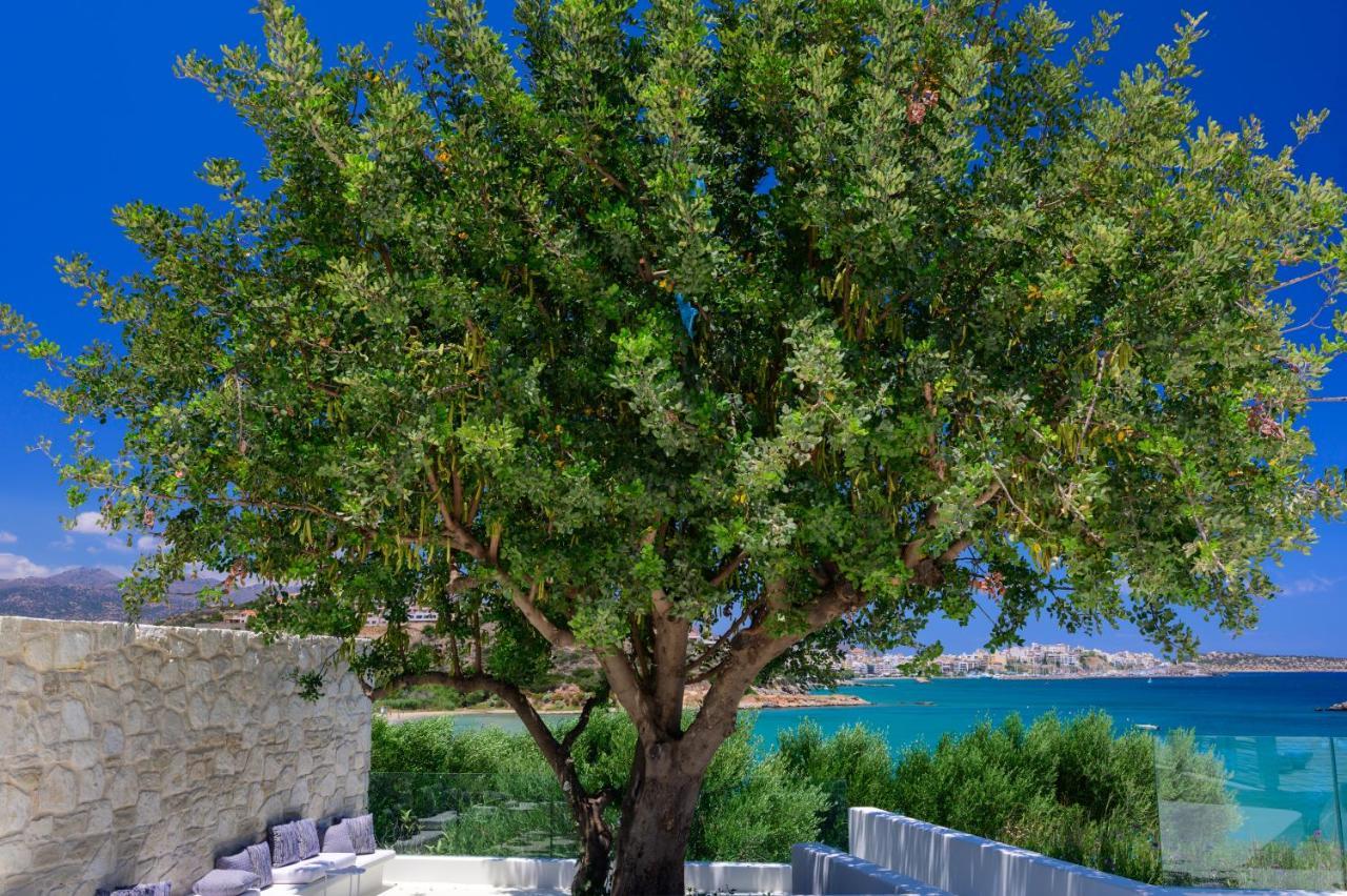 The Island Concept Luxury Boutique Hotel Heated Pool Ajos Nikolaos Zewnętrze zdjęcie